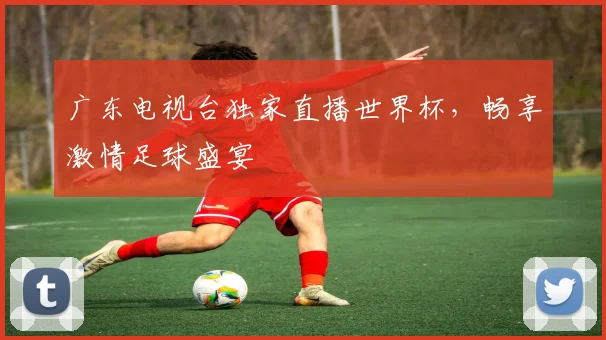 广东电视台独家直播世界杯，畅享激情足球盛宴