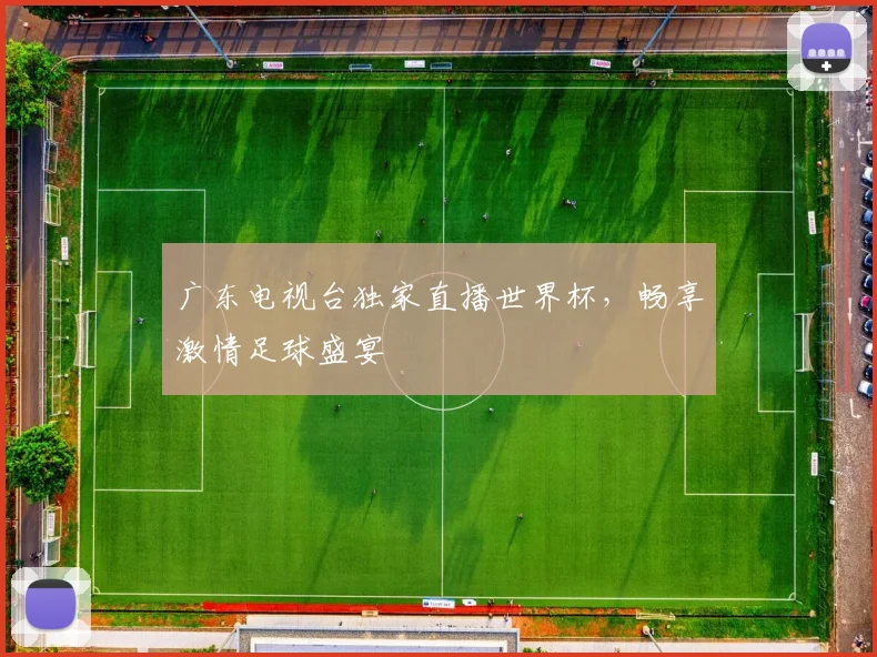 广东电视台独家直播世界杯，畅享激情足球盛宴