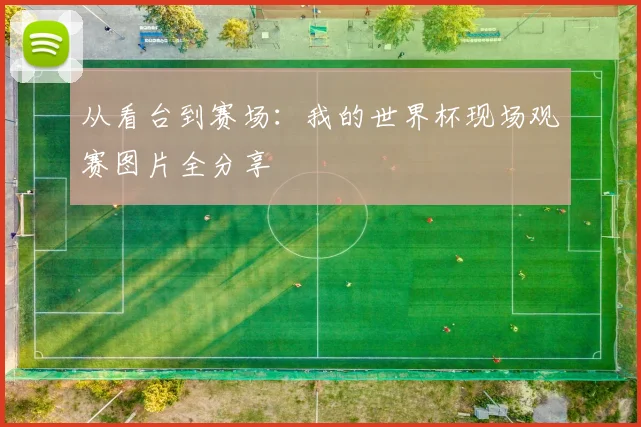 从看台到赛场：我的世界杯现场观赛图片全分享