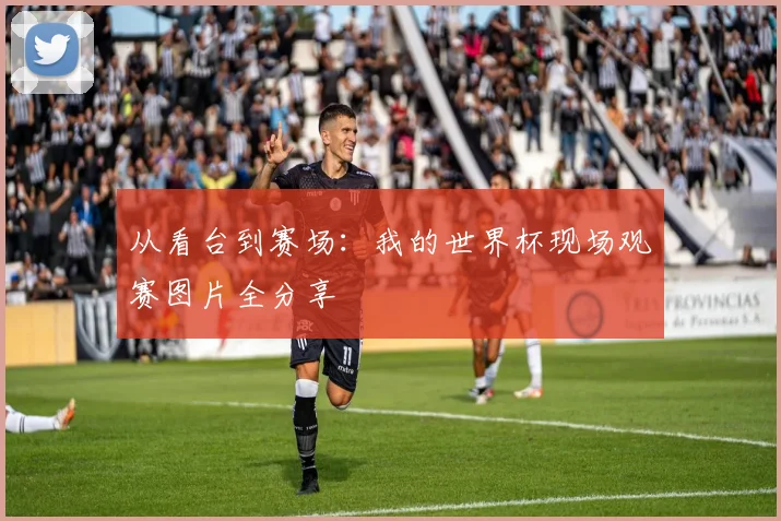 从看台到赛场：我的世界杯现场观赛图片全分享