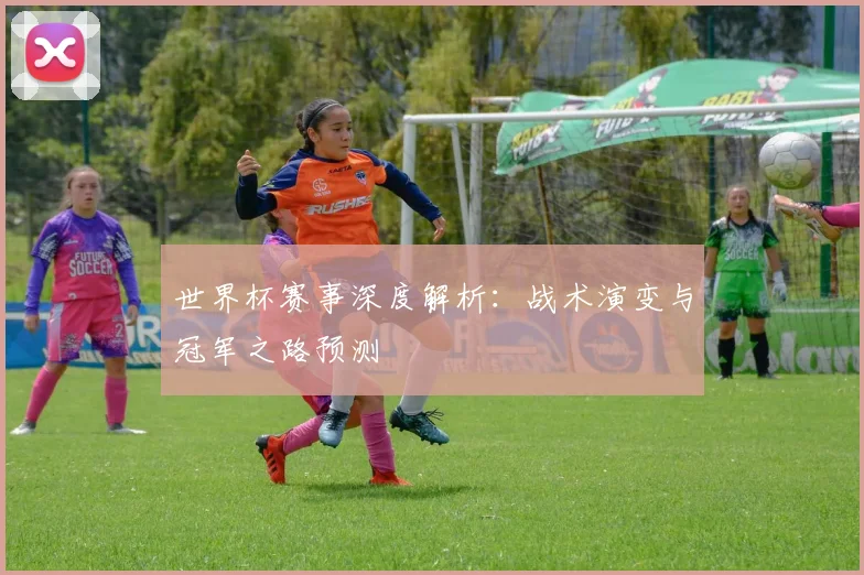 世界杯赛事深度解析：战术演变与冠军之路预测