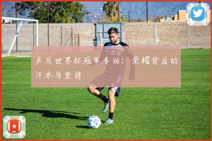 乒乓世界杯冠军专访：荣耀背后的汗水与坚持