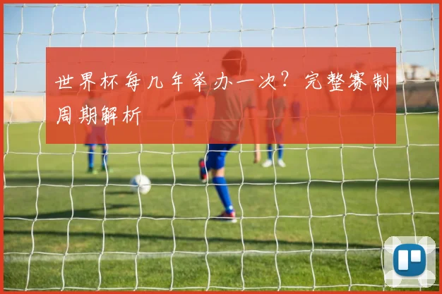 世界杯每几年举办一次？完整赛制周期解析