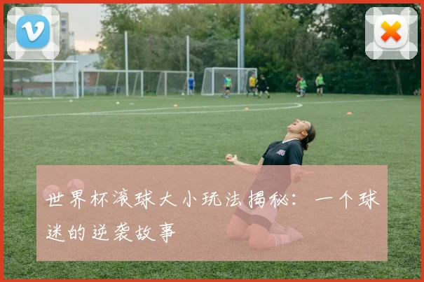 世界杯滚球大小玩法揭秘：一个球迷的逆袭故事